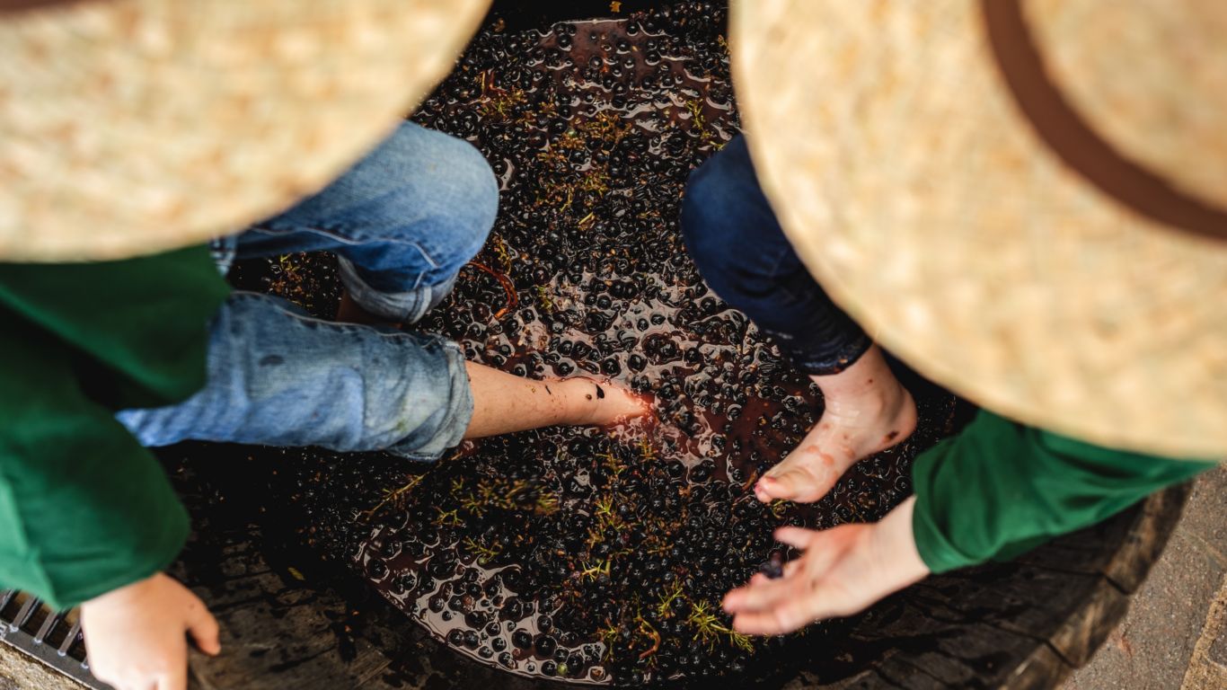 Rosewood Castiglion del Bosco