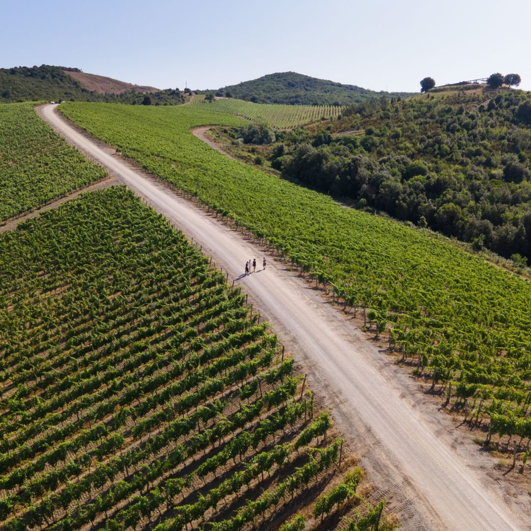 Via Francigena 徒步游