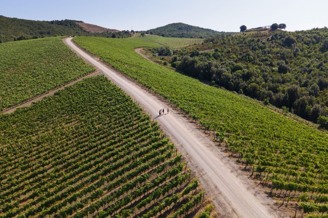 Via Francigena 徒步游