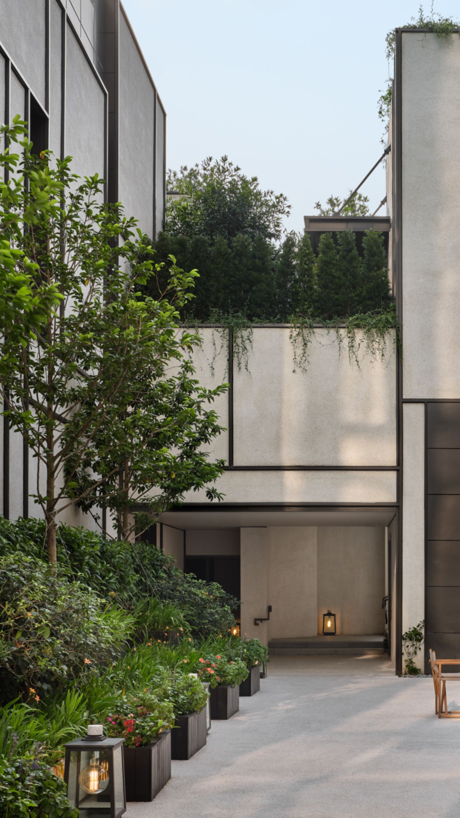 Asaya 庭院| 香港瑰丽酒店