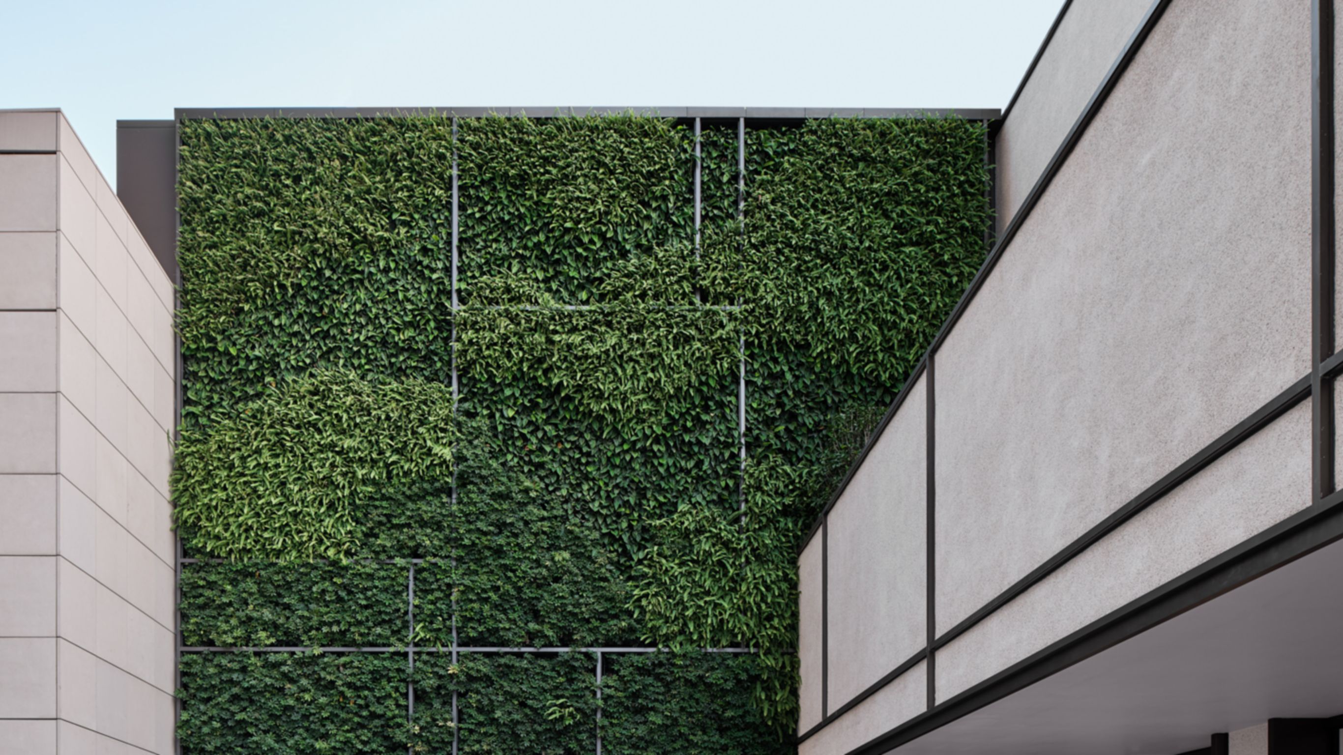 Asaya 花园 | 香港瑰丽酒店