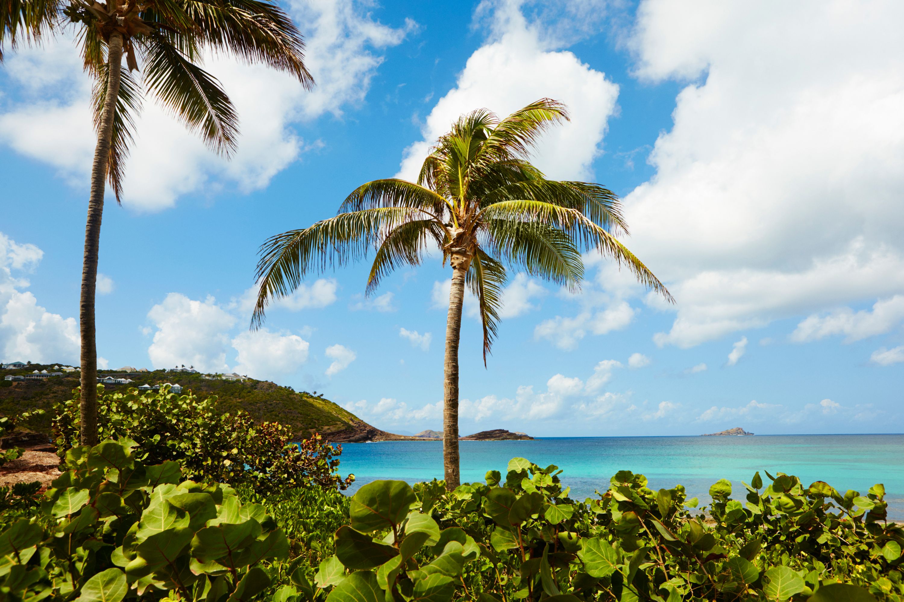 Luxury Beach Retreats