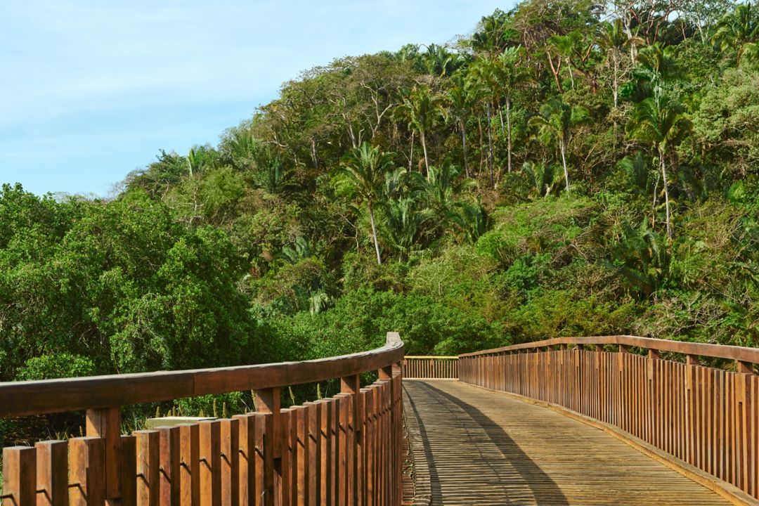 Idyllic outdoor environment