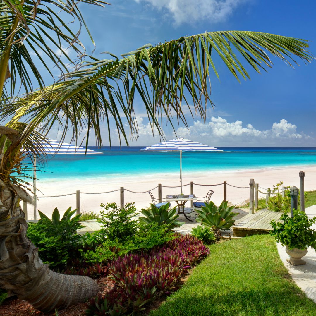 ローズウッド バミューダ