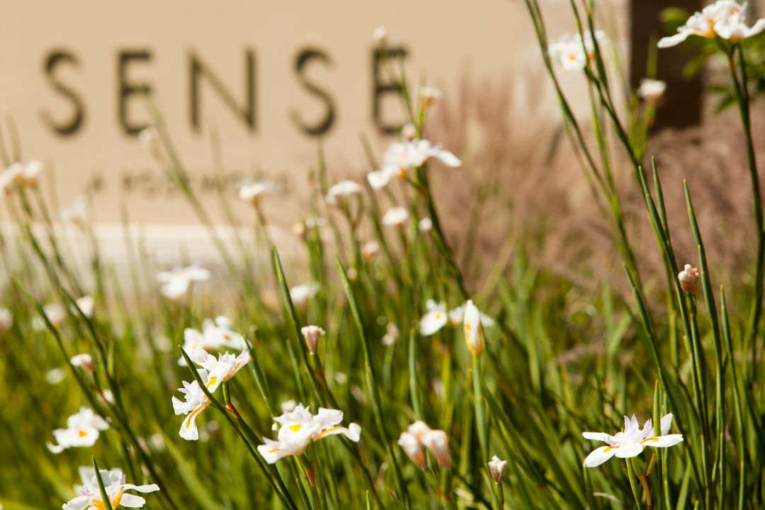 门洛帕克瑰丽酒店