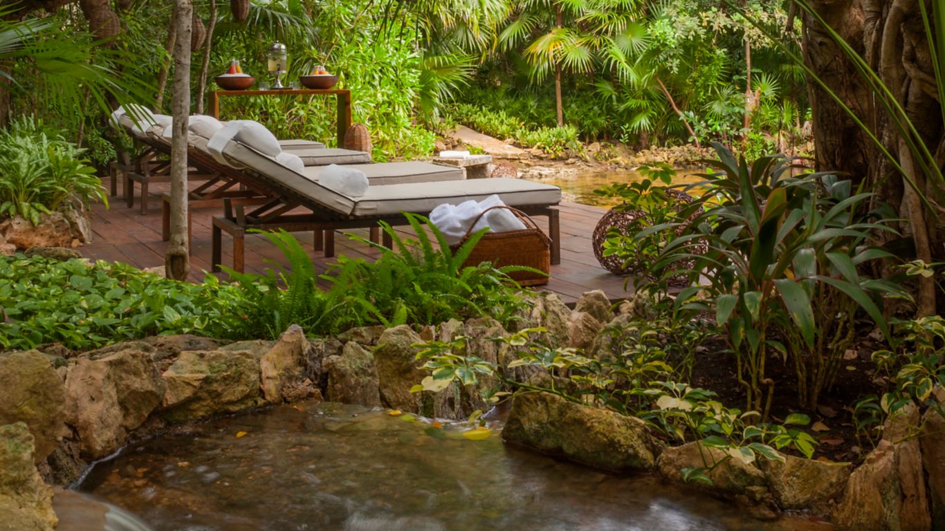 Muebles lounge en la terraza con vista al cenote en la selva serena