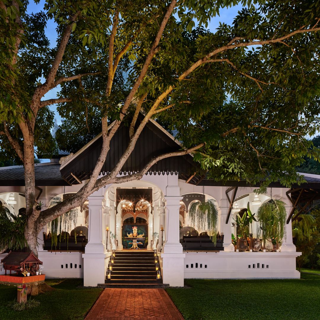 A Luang Prabang restaurant with white walls, a veranda, and black stairs, nestled beneath a large tree.
