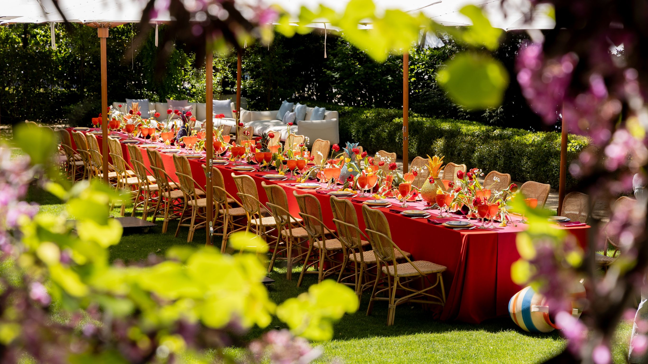 garden event setup with a boardroom table with red tablecloth sorrounded by plants and flowers